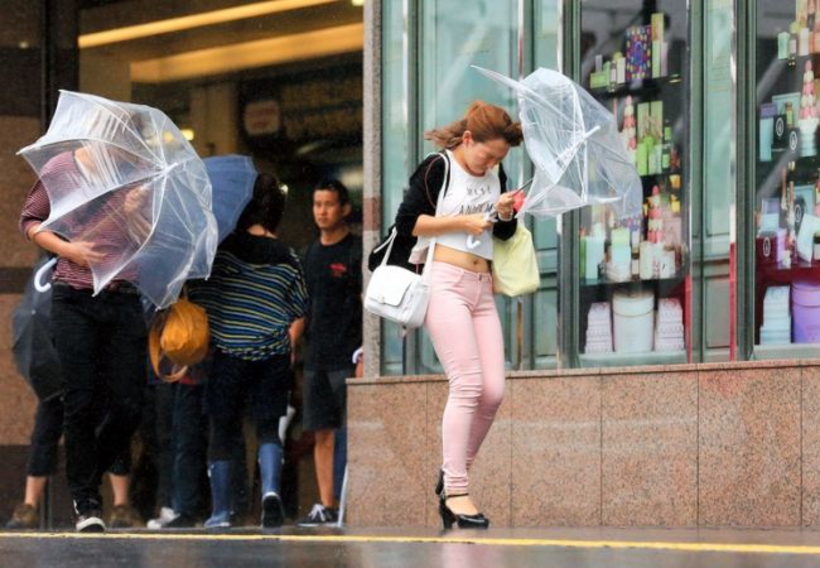 暴風雨に備え、折りたたみ傘を選びましょう！